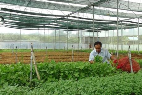 Agribank cho vay hơn 5.000 tỷ đồng phục vụ nông nghiệp công nghệ cao