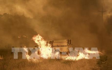 Mỹ huy động hơn 2.000 lính cứu hỏa đối phó với cháy rừng lan rộng tại California
