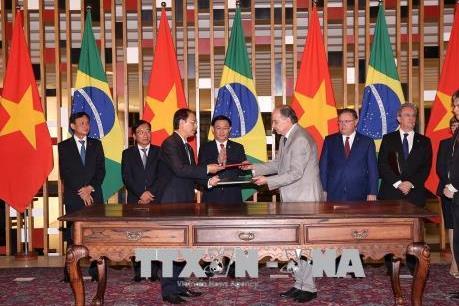 Việt Nam, Brazil thúc đẩy hợp tác đầu tư và thương mại