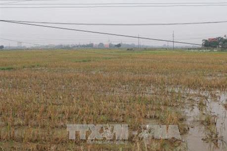Kỳ họp thứ 6, HĐND tỉnh Nam Định: “Nóng” những vấn đề từ thực tiễn