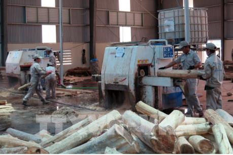 Ngành chế biến gỗ chuyển từ sản xuất gia công sang sản xuất có bản quyền