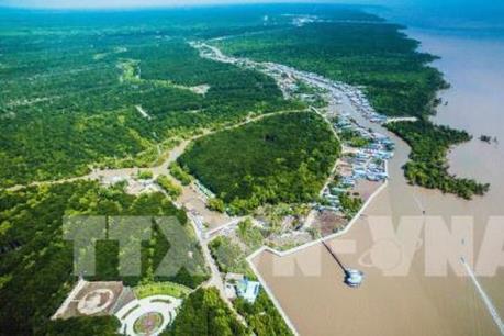 Cà Mau tập trung thu thuế công thương nghiệp, đất và dịch vụ ngoài quốc doanh