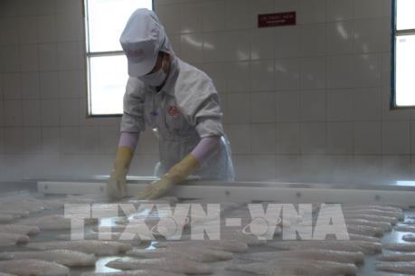 VASEP: Doanh nghiệp cần kiểm soát chặt chất lượng cá tra xuất khẩu sang Trung Quốc