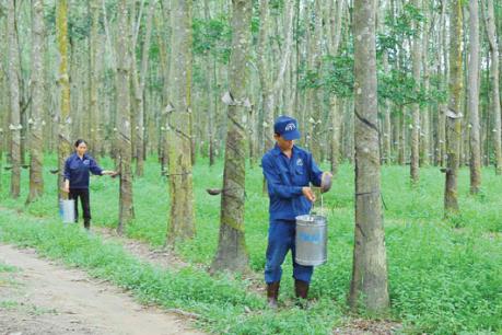 TRC chốt quyền trả cổ tức tiền 2017 bằng tiền tỷ lệ 23%