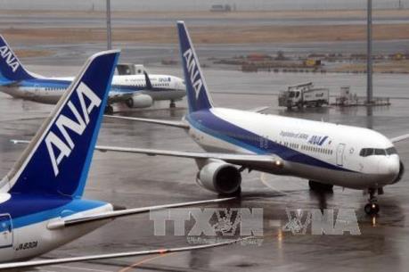 Nhật Bản: Hãng ANA hủy thêm hơn 300 chuyến bay nội địa