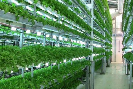 Nhiều doanh nghiệp nông nghiệp công nghệ cao được cấp giấy chứng nhận