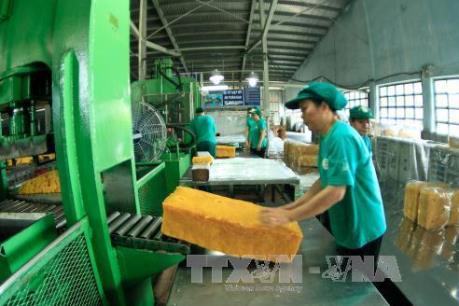 Giá cao su xuất khẩu giảm cùng chiều với giá cao su thế giới