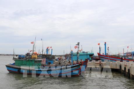 Ứng phó với bão số 3: Thanh Hóa quản lý tàu thuyền đảm bảo an toàn về người, tài sản