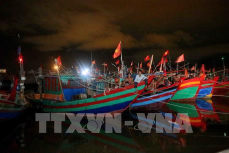 Ứng phó với bão số 3: Nam Định cấm biển, kêu gọi tàu thuyền vào bờ