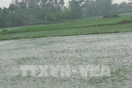 Phòng chống ngập úng do ảnh hưởng của bão số 3