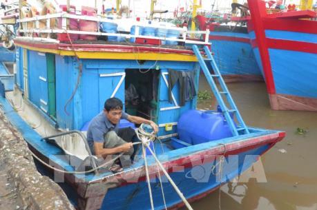 Ứng phó với bão số 3: Toàn bộ tàu thuyền tại Nam Định đã vào nơi neo đậu an toàn