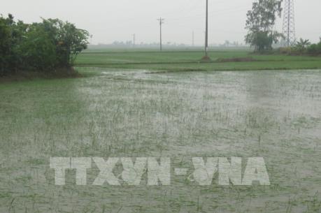 Bão số 3 suy yếu thành áp thấp nhiệt đới, Bắc Bộ, Bắc Trung Bộ mưa to