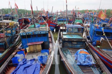 Ứng phó với bão số 3: Kiểm tra công tác phòng chống bão tại Thanh Hóa