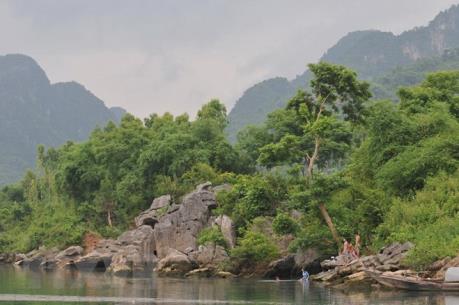 Thử nghiệm diệt trừ thực vật ngoại lai xâm hại ở Vườn Quốc gia Phong Nha-Kẻ Bàng