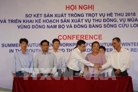 Các tỉnh Nam Bộ trúng mùa, được giá lúa vụ Hè Thu