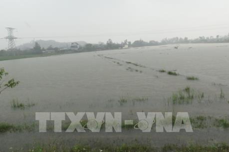 Dự báo sắp xuất hiện áp thấp nhiệt đới trên khu vực Vịnh Bắc Bộ