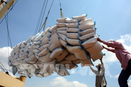 Hướng tới các phân khúc thị trường gạo có giá trị cao