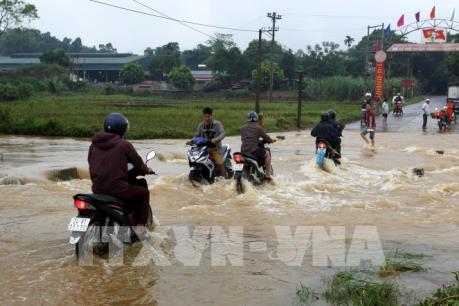 Ứng phó với xoáy thấp có khả năng hình thành áp thấp nhiệt đới