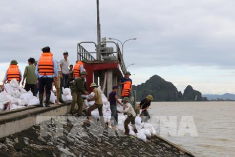 Khắc phục hậu quả bão số 3: Ninh Bình tập trung đảm bảo an toàn hệ thống đê Hoàng Long