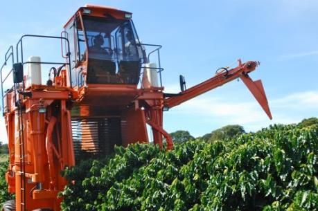 Sản lượng nông sản xuất khẩu chủ chốt của Brazil có thể giảm do hạn hán