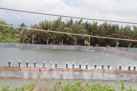 Đánh thức tiềm năng nuôi trồng thủy sản ven biển Gò Công
