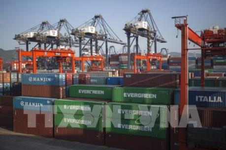 Chuyên gia: Hợp tác đa phương sẽ giúp đẩy lùi bảo hộ thương mại