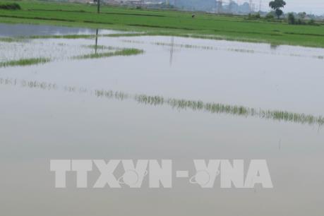 Khắc phục hậu quả mưa lũ tại Ninh Bình