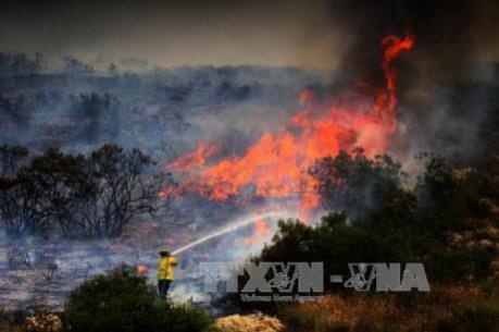 Cháy rừng tại Hy Lạp khiến hơn 120 người người thương vong