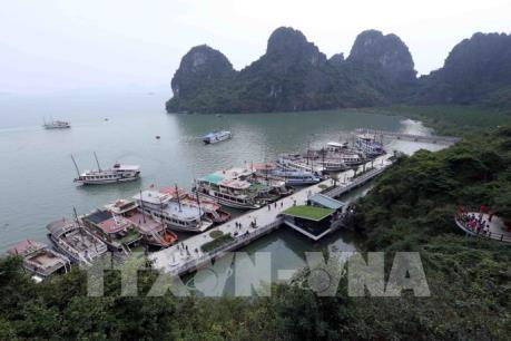 Di sản thiên nhiên thế giới Vịnh Hạ Long xanh tươi và kỳ vĩ