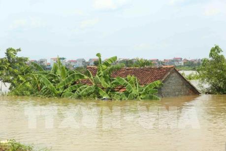 Hà Nội khẩn trương khắc phục các thiệt hại do mưa bão