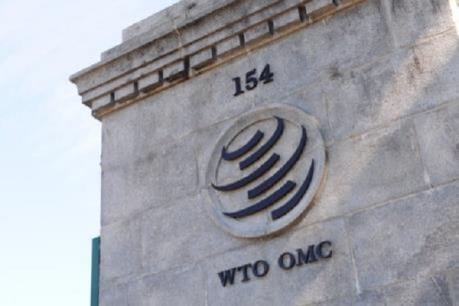 Nước Anh có thể gặp khó trong việc “ly hôn” EU tại WTO
