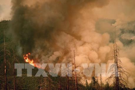 Mỹ đóng cửa vườn quốc gia nổi tiếng nhất nước do cháy rừng