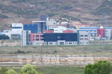 Doanh nghiệp hàn Quốc muốn trở lại thăm khu công nghiệp chung Kaesong