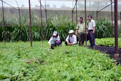 Đắk Nông thông qua 2 Đề án quan trọng về phát triển ngành nông nghiệp