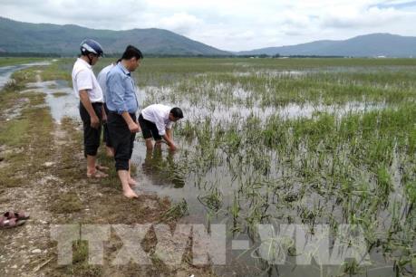 Thanh Hóa khắc phục hậu quả mưa lũ, khôi phục sản xuất