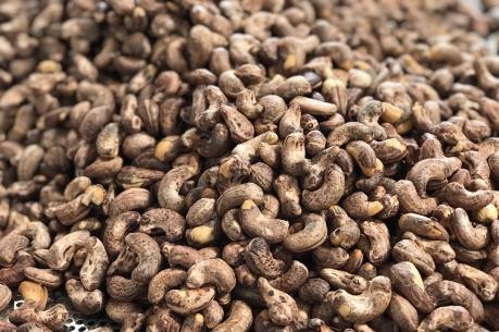 Khuyến cáo doanh nghiệp xuất khẩu không giao dịch với Công ty tại Maroc