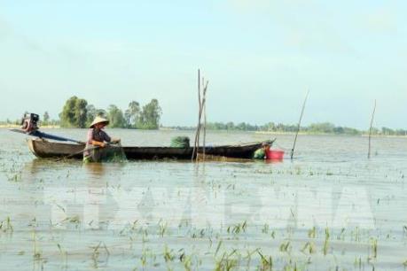 Công điện về chủ động ứng phó, giảm thiểu thiệt hại mưa lũ tại một số tỉnh ĐBSCL