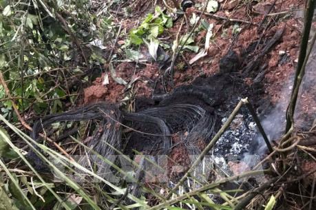 Cấp Bằng Tổ quốc ghi công cho 2 phi công hy sinh trong vụ máy bay quân sự rơi tại Nghệ An