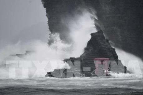 Bão Jongdari đổ bộ Nhật Bản