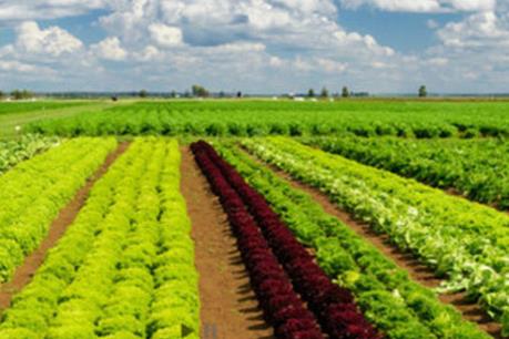 PAN lấy ý kiến về phát hành cổ phần riêng lẻ cho cổ đông chiến lược