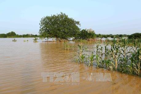 Hà Nội chủ động ứng phó với mực nước nhiều sông tăng nhanh