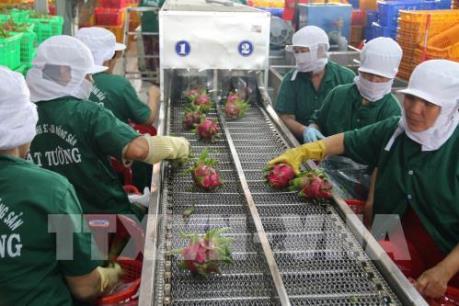 Thách thức từ CPTPP: Kiểm soát bằng kế hoạch và lộ trình phù hợp