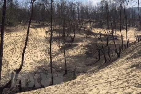 Điều chỉnh quy hoạch sử dụng đất tỉnh Bình Định