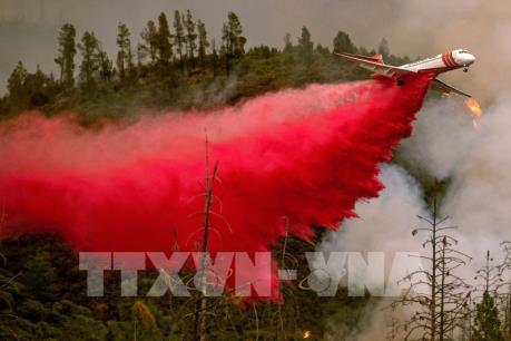 Sơ tán thêm 10.000 người do cháy rừng tại California, Mỹ  
