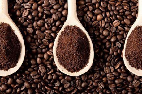 Dự báo giá cà phê tuần từ 30/7 - 3/8