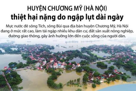 Huyện Chương Mỹ (Hà Nội) thiệt hại nặng do ngập lụt dài ngày