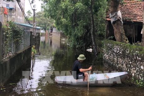 Hà Nam: Khắc phục hậu quả mưa lũ, kịp thời xử lý các sự cố đê điều