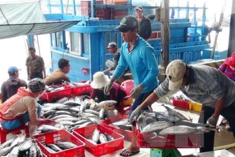 Khắc phục "thẻ vàng" IUU - Bài 2: Giải pháp mạnh