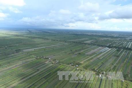 Hạn mặn ở Đồng bằng sông Cửu Long: Bài cuối - Chủ động ứng phó