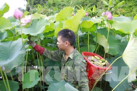 Quản lý tài nguyên nước - Bài 2: Giữ nước cho vùng đầu nguồn sông Cửu Long